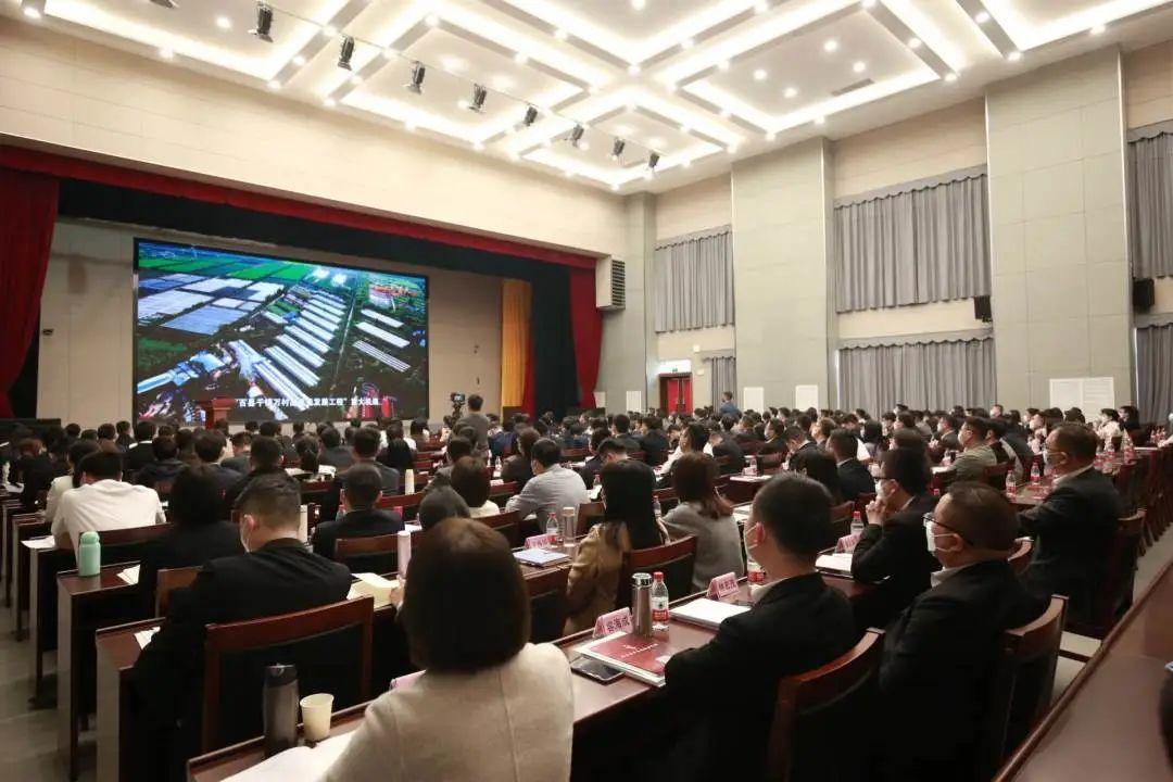 2025新澳门天天免费精准，-精选解析解释落实