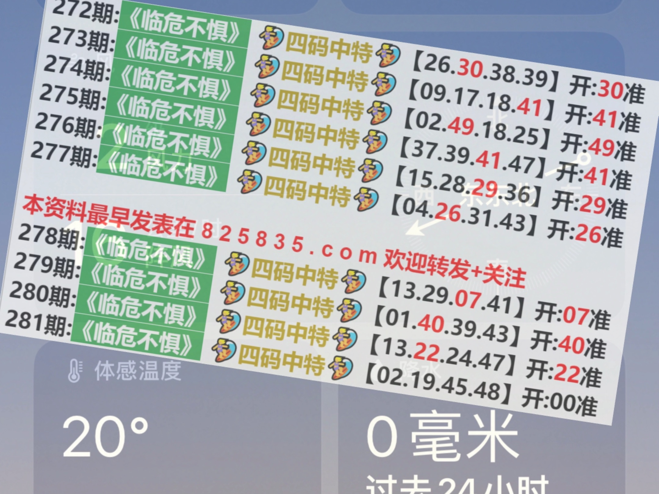 2024澳门天天开好彩大全开奖结果，实用释义解释落实