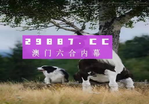 澳门今晚开特马四不像图，词语释义解释落实