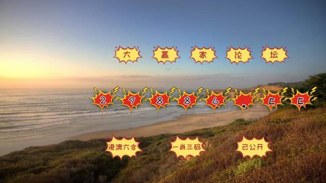 澳门天天彩期期精准，实用释义解释落实
