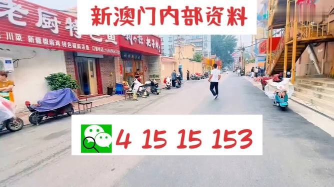 2024澳门天天开好彩大全53期，全面贯彻解释落实