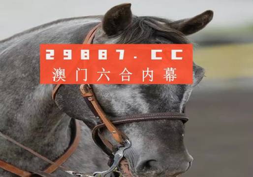 澳门一肖一码一待一中，词语释义解释落实