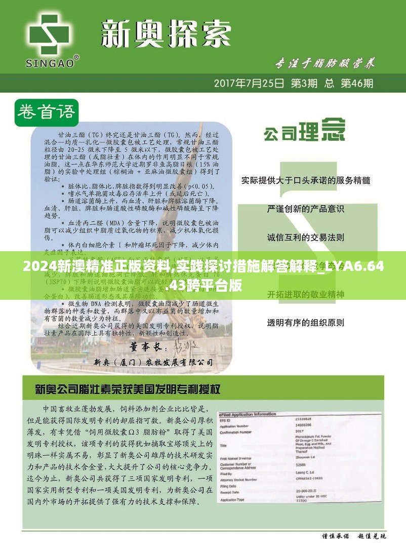 新澳精准资料免费提供,第510期的深入释义、解释与落实